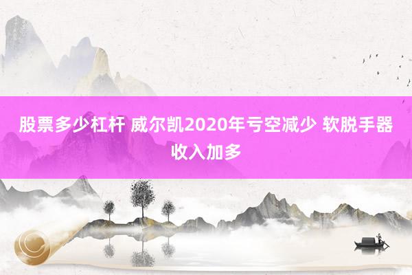 股票多少杠杆 威尔凯2020年亏空减少 软脱手器收入加多