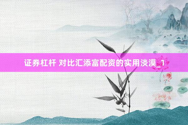 证券杠杆 对比汇添富配资的实用淡漠_1