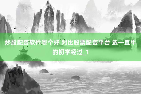 炒股配资软件哪个好 对比股票配资平台 选一直牛的初学经过_1